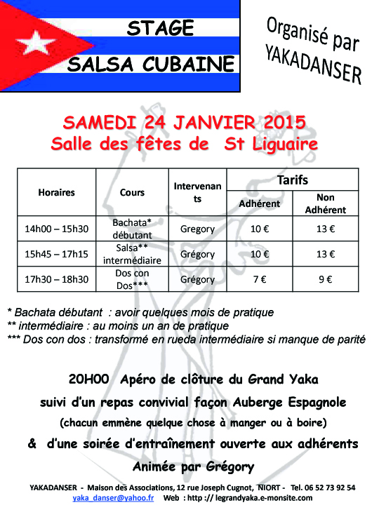 2015 flyerstage copie